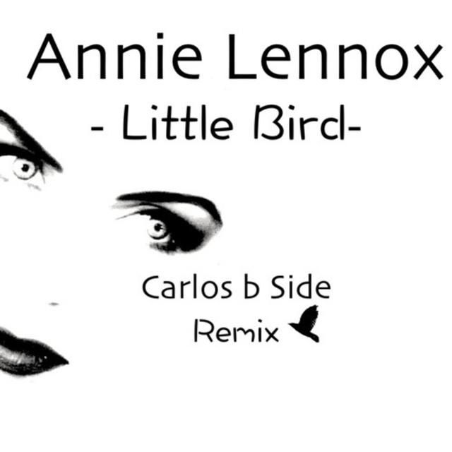 Annie Lennox - Little Bird (Carlos b Side Remix) - podcast episode cover
