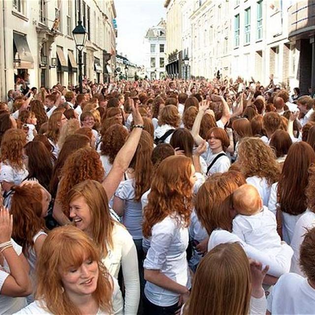 The ginger revolution! - podcast episode cover