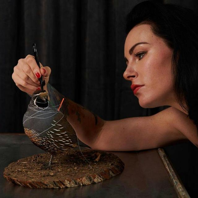 Taxidermist Allis Markham - podcast episode cover