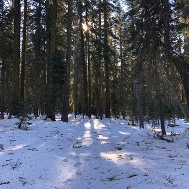 Episode 94: Mount Shasta- Gusty Winter Wind Near Sand Flat - podcast episode cover