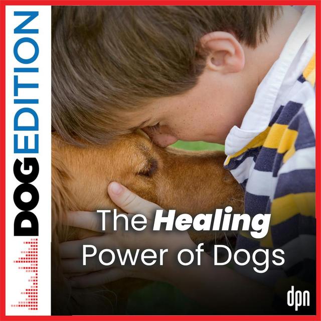 Dogs as Healers | Dog Edition #46 - podcast episode cover