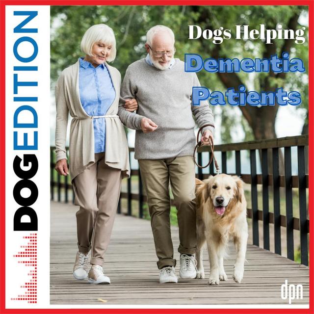 Dogs Helping Dementia Patients | Dog Edition #60 - podcast episode cover