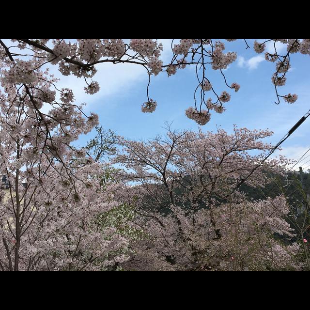 442. The Trip to Japan (Part 1) - podcast episode cover