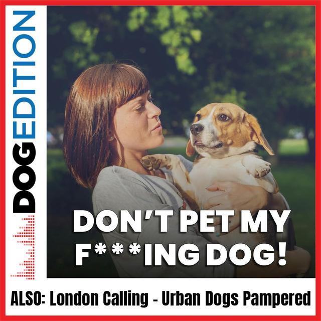 Don’t Pet My F***ing Dog | London Calling: Urban Dogs Pampered - podcast episode cover