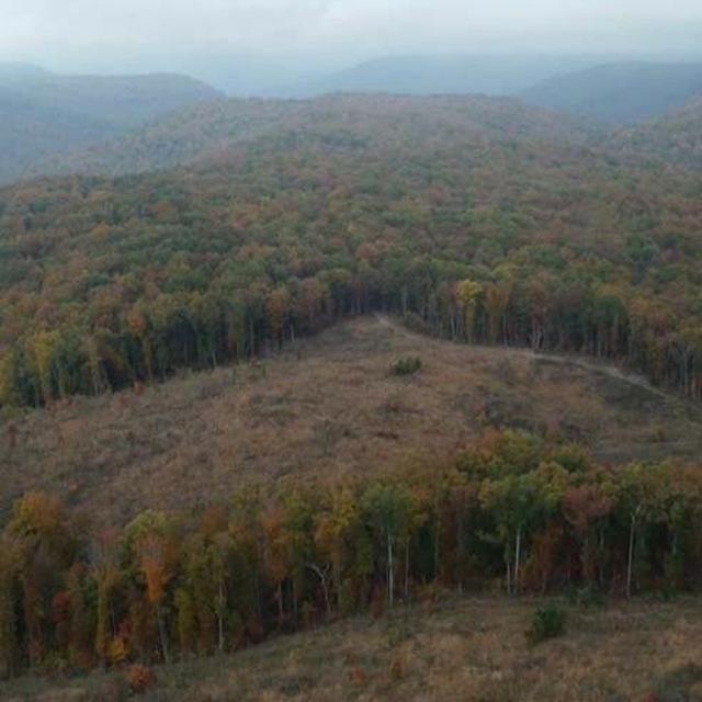 TW 266 - Skinner Mountain, A Biodiversity Hotspot - podcast episode cover