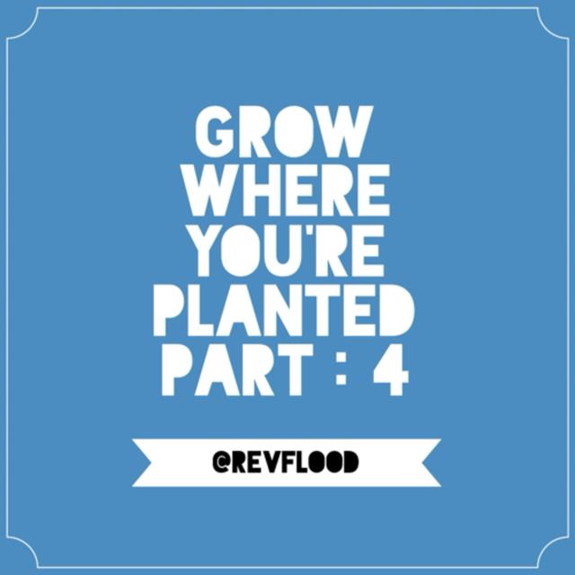 Episode 12: Grow Where You’re Planted Part. 4 - podcast episode cover