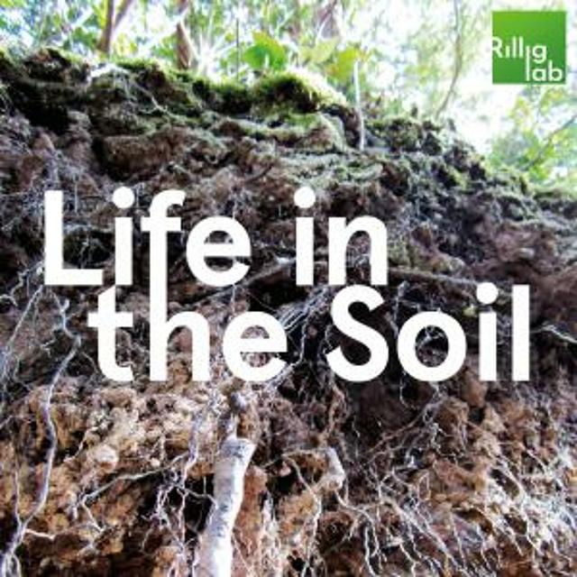 Introducing: Life in the Soil (Teaser) - podcast episode cover