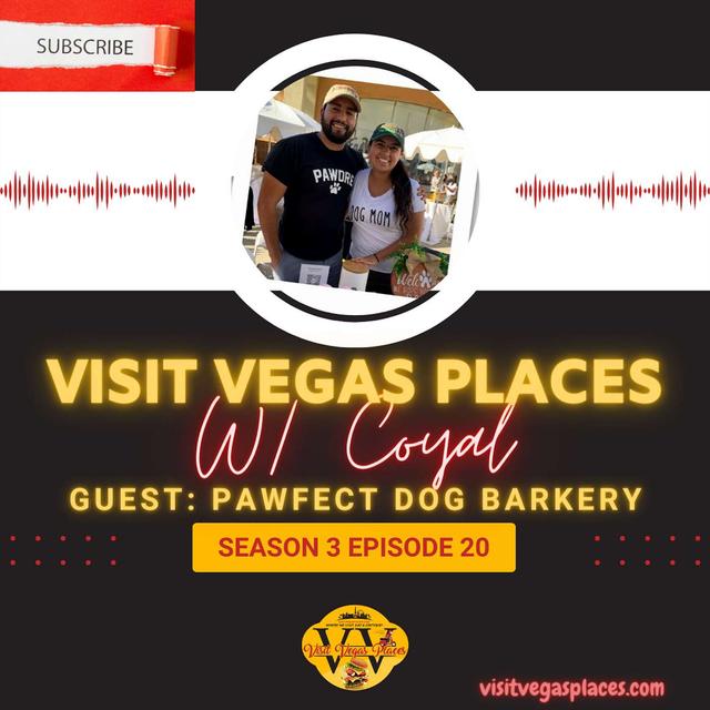 Small Business owner Shirley Estupinan provides a healthy dog treat alternative from Pawfect Dog Barkery - podcast episode cover