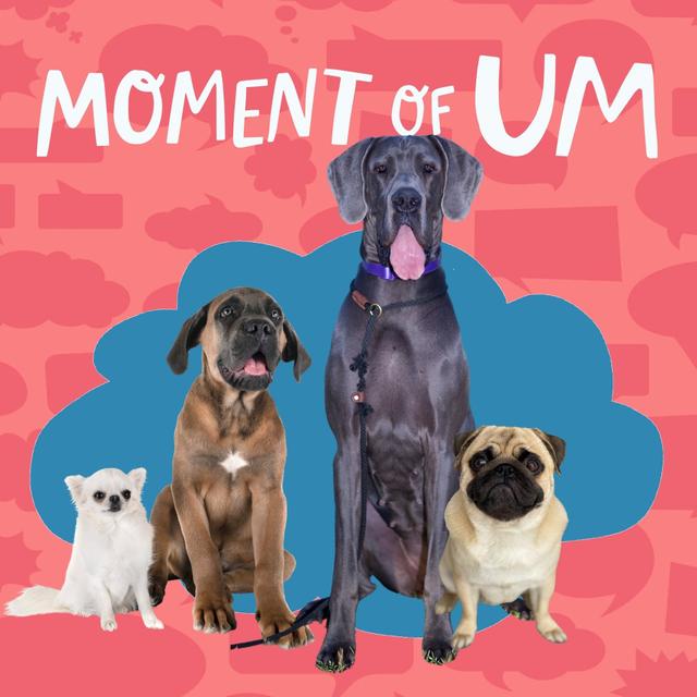 Why are some dogs so small and some so large? - podcast episode cover