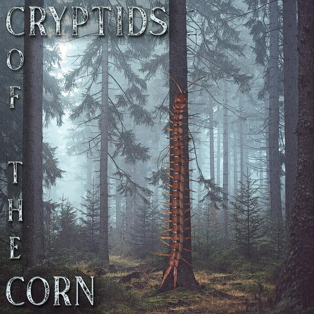 Mysterious Case of Stairs in the Woods S.7 Ep.11 - podcast episode cover