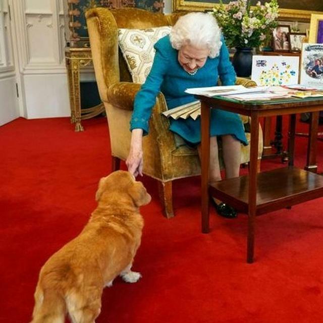 The Queen celebrates, a Queen Consort is announced and William in Dubai - podcast episode cover