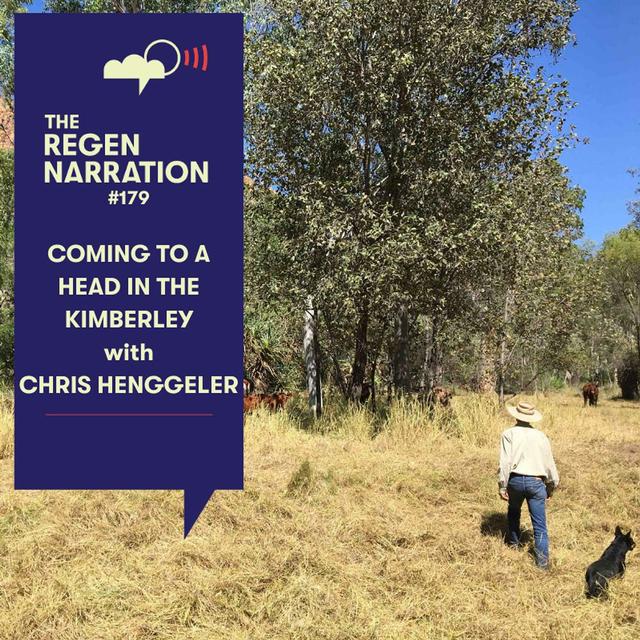 179. Coming to a Head in the Kimberley: Chris Henggeler on regenerating consciousness, community & Country - podcast episode cover