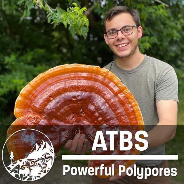 #14 - ATBS - Powerful Polypores - The Origins of Ancient Medicine - podcast episode cover