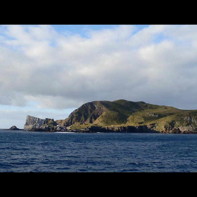 Episode 49:Antipodes, sub-Antarctic Conservation w/Theo Van Noort - podcast episode cover