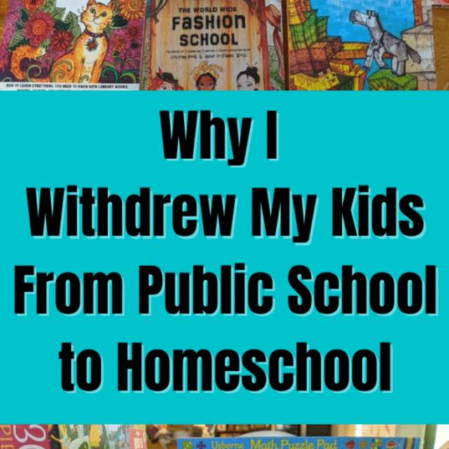 Why I Took My Kids Out Of Public School System & Home School - podcast episode cover