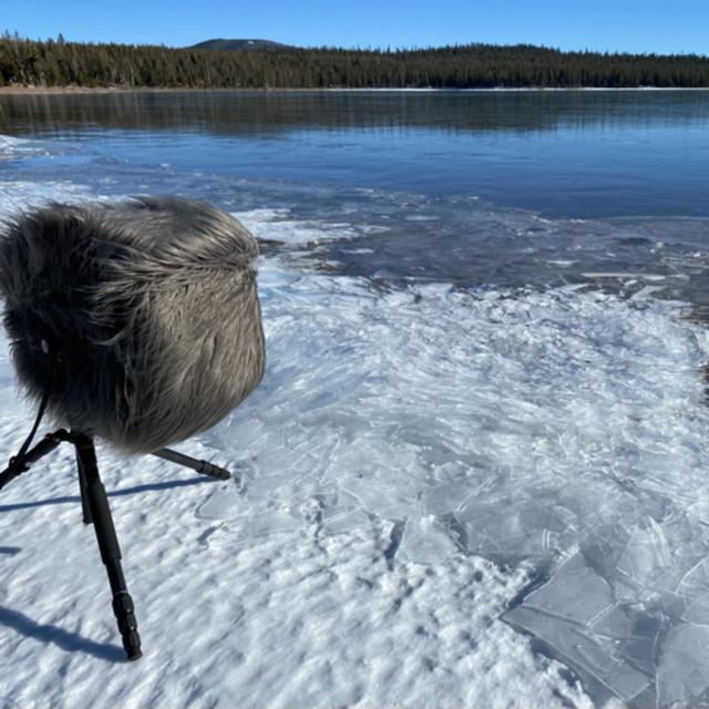 155: Blustery Autumn Afternoon Beside Frozen Medicine Lake - podcast episode cover