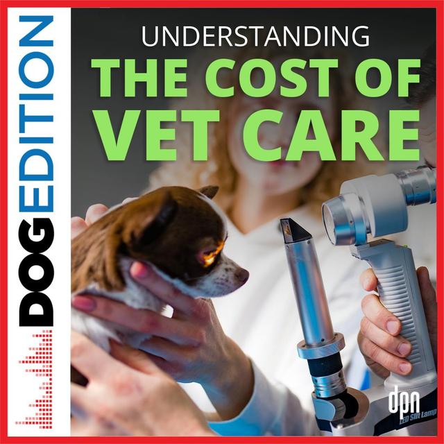 Understanding the Cost of Vet Care | Dog Edition #74 - podcast episode cover