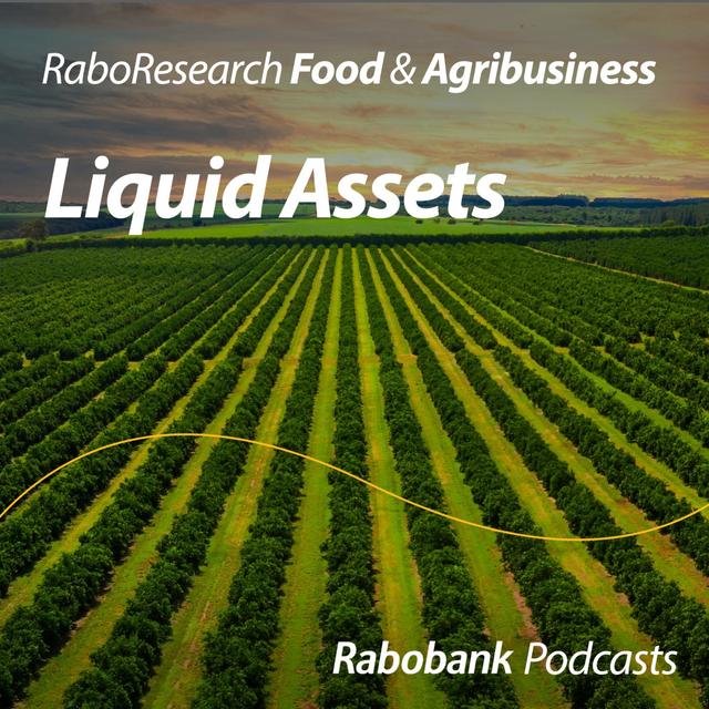 Without enough oranges, the juice industry gets squeezed - podcast episode cover