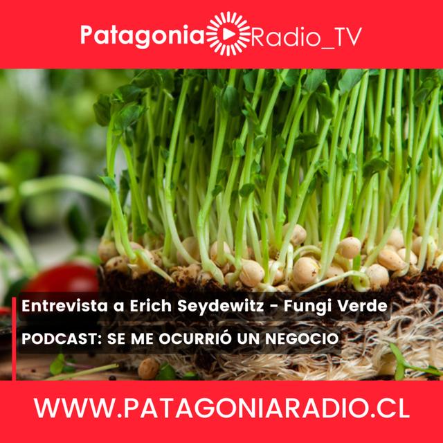 Fungi Verde: Una idea que hizo brotar un negocio sano y sustentable - podcast episode cover