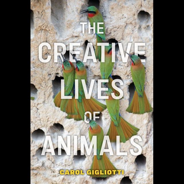 Episode 320:The Creative Lives of Animals w/Carol Gigliotti - podcast episode cover