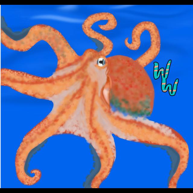 Giant Pacific Octopus - podcast episode cover