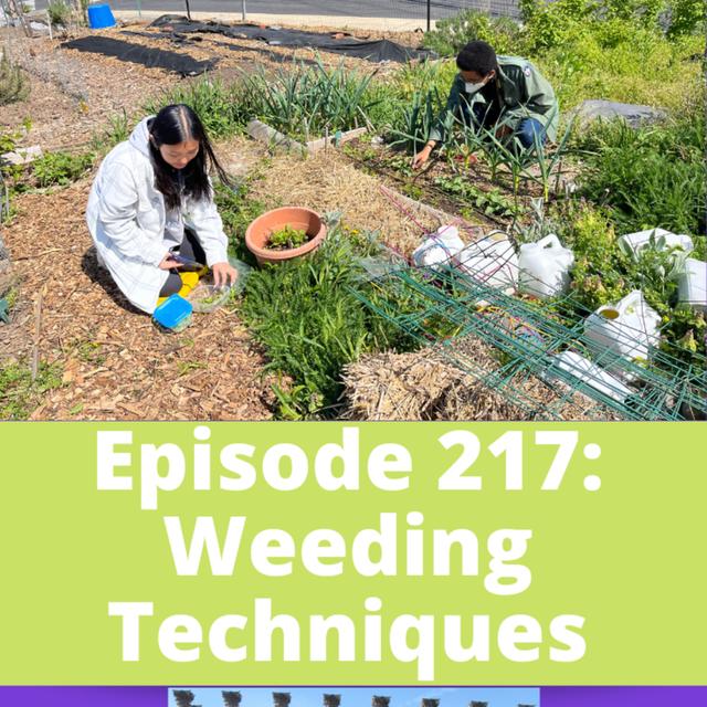 Weeding Techniques - podcast episode cover