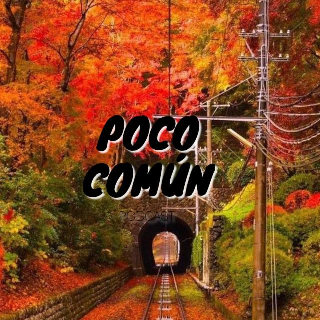 Poco Común Ep.238 "Contenido Relajante en YouTube" - podcast episode cover
