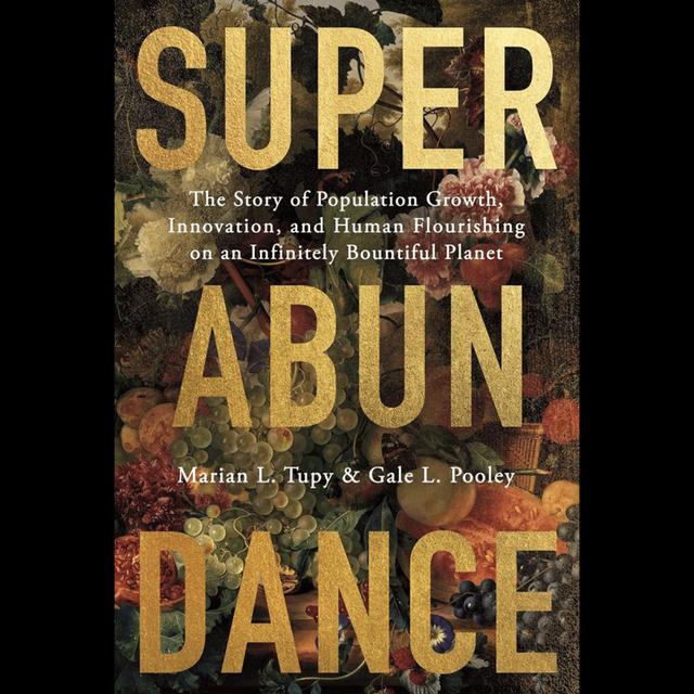 Gale Pooley - Superabundance - podcast episode cover