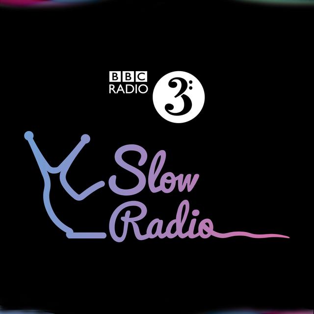 Sounds of the Earth - Cows, Rain and a Wren - podcast episode cover