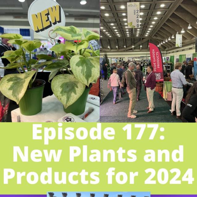 New Plants and Products for 2024 - podcast episode cover