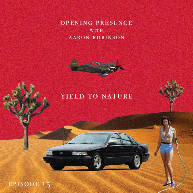 Ep. 15 Solocast: Yield to Nature - podcast episode cover