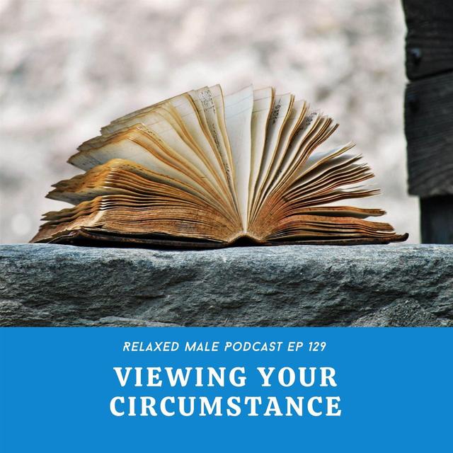 VIewing Your Circumstance - podcast episode cover