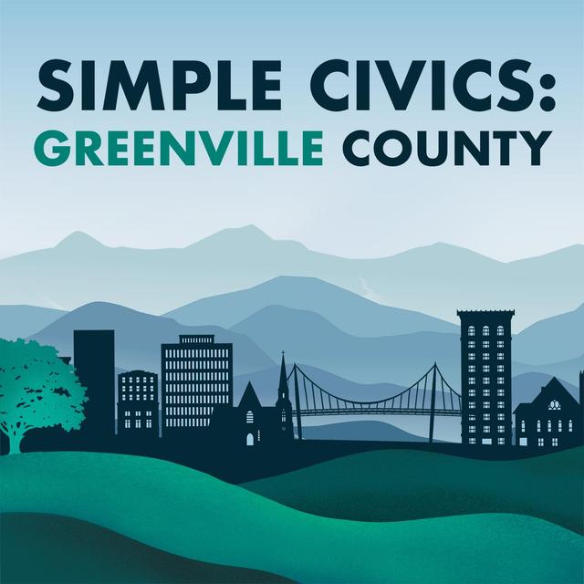 Voter Turnout in the Greenville County Primary Elections - podcast episode cover