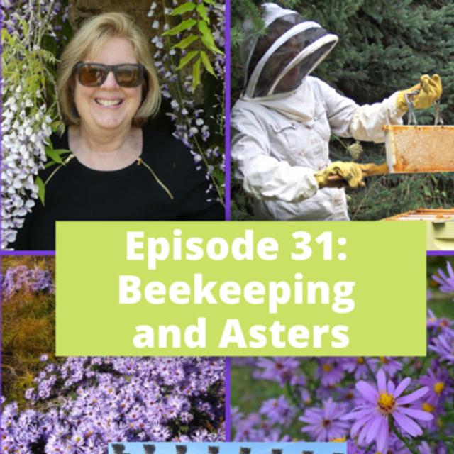 Beekeeping - podcast episode cover