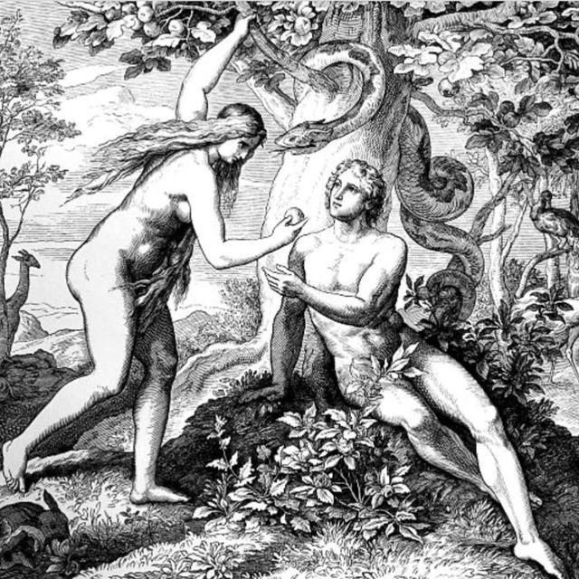 Naked Deception, part 1. - podcast episode cover
