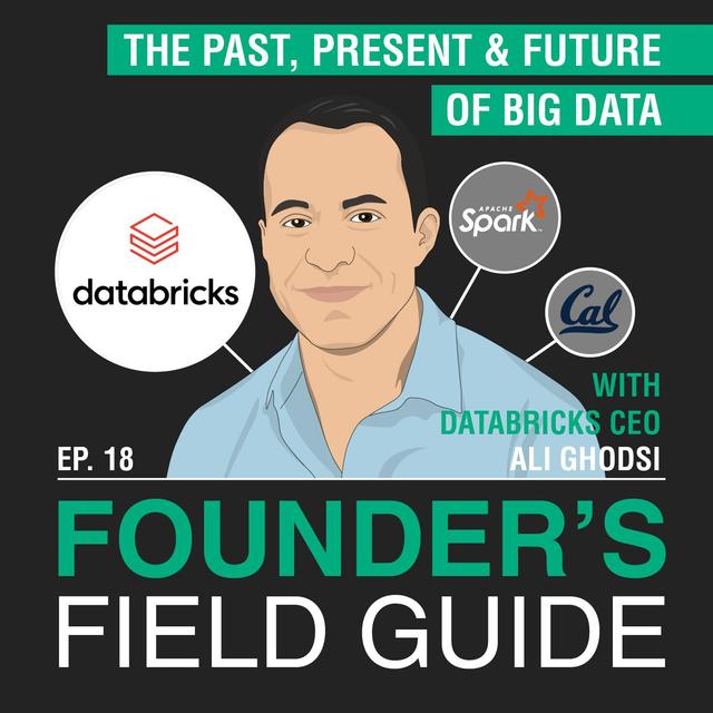 Ali Ghodsi – The Past, Present, and Future of Big Data – [Founder’s Field Guide, EP.18] - podcast episode cover
