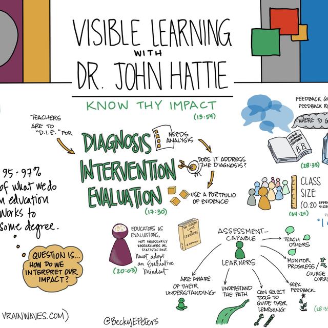 John Hattie on Visible Learning and Feedback - podcast episode cover