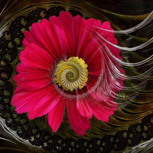 Solfeggio Frequencies 528 Hz + Alpha To Boost Creativity - podcast episode cover