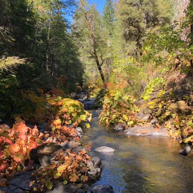 Episode 52: Squaw Valley Creek Trail- Autumn Morning Walk - podcast episode cover