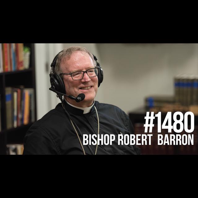 1480: How to Find Peace & Meaning Amid Chaos With Bishop Robert Barron - podcast episode cover