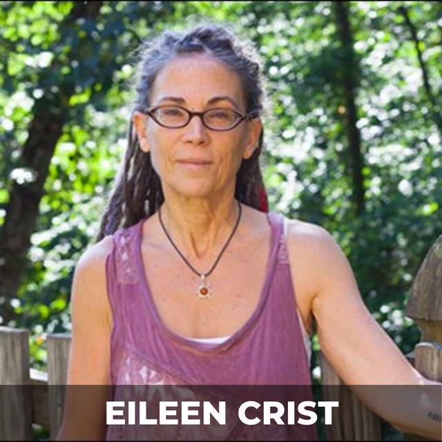 Toward an Ecological Civilization | Eileen Crist - podcast episode cover