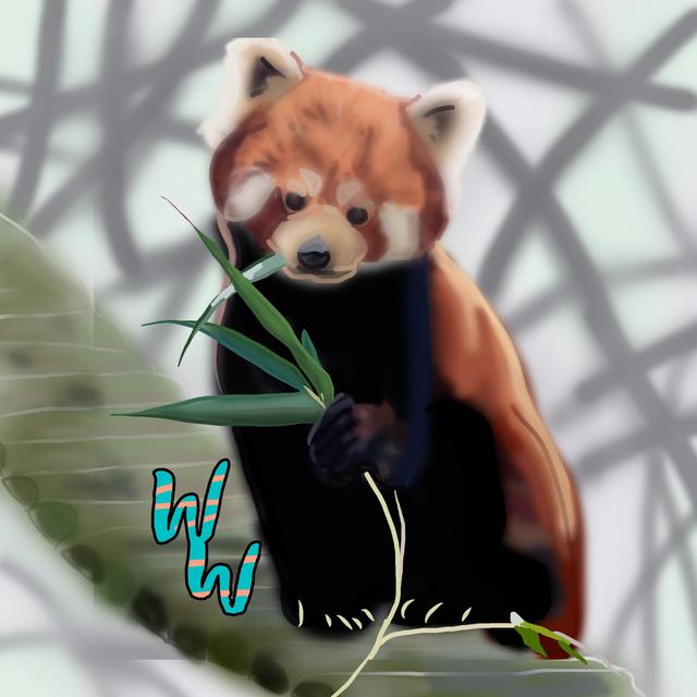 Red Panda - podcast episode cover