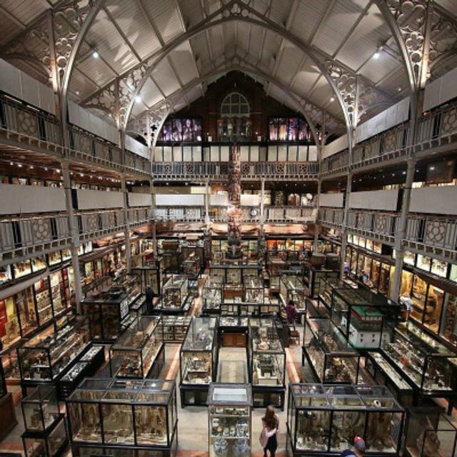 Special Feature: "Decolonizing Museums in Practice - Part 1 (Legacies & Futures) - podcast episode cover