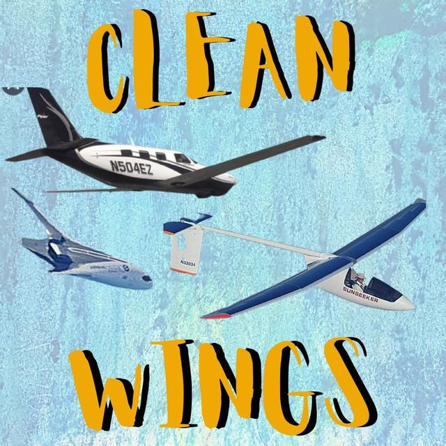 Clean wings, ice music, singing ban lifted, lost walrus, self-beheading snail - podcast episode cover
