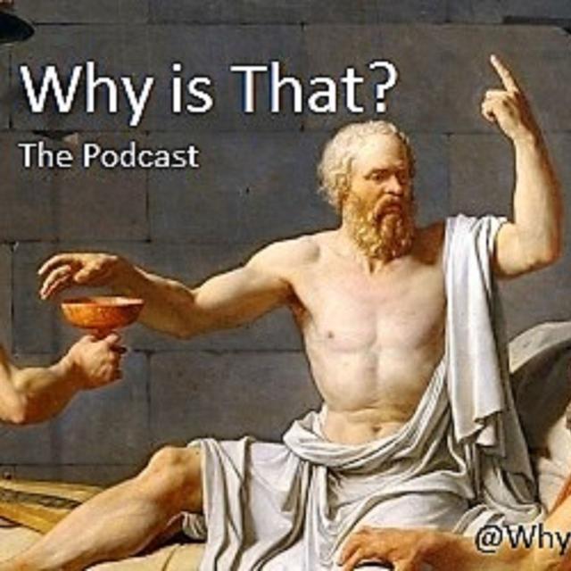 An Introduction to the Why Is That Podcast - podcast episode cover