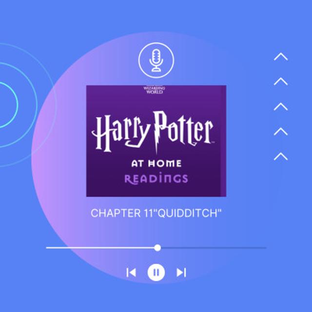 Chapter 11 “Quidditch” - podcast episode cover