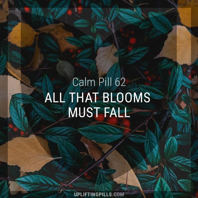 All That Blooms Must Fall - podcast episode cover