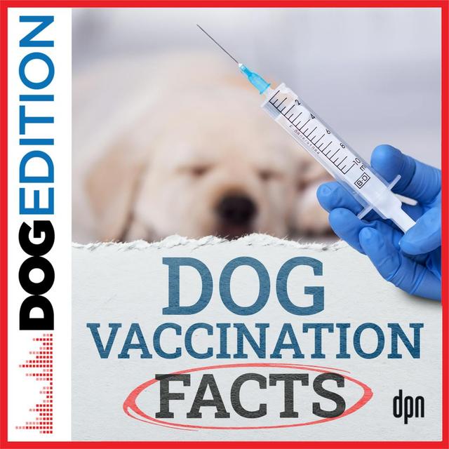 Dog Vaccination Facts | Dog Edition #85 - podcast episode cover