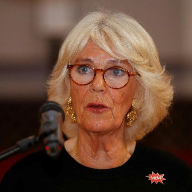 Concerns over Queen’s health, Camilla’s landmark speech and exciting royal tour news - podcast episode cover