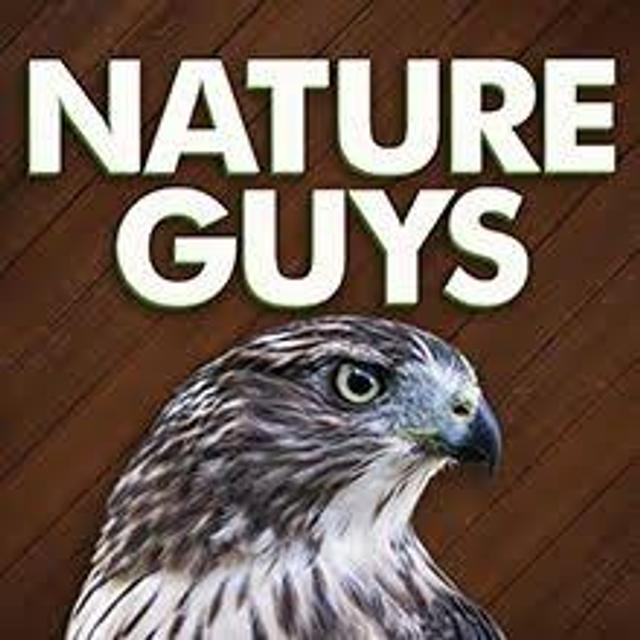 Woodcocks Wobble - podcast episode cover